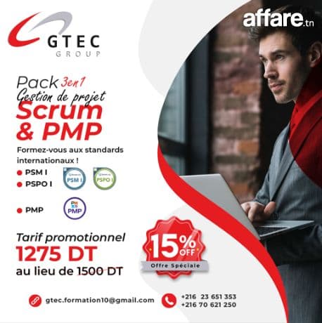 Pack 3-en-1 Project Manager: PMP