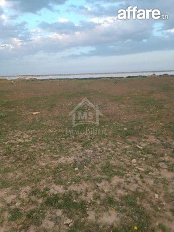 Terrain pieds dans l'eau de 9000 m² à korba à vendre