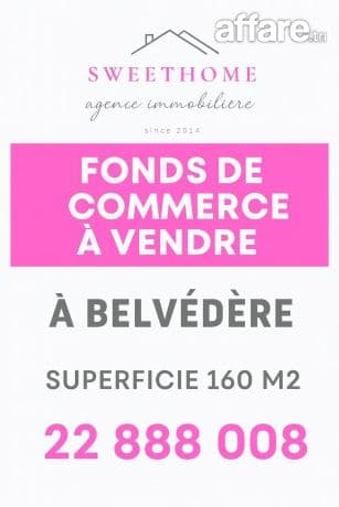 fonds de commerce à vendre à belvédère 