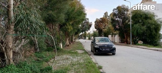 terrain viabilisé à vendre 