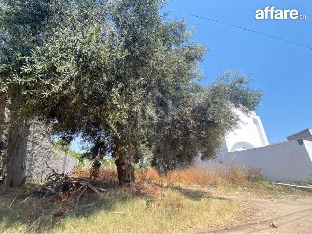 Lot de terrain de 250 m² à Hammamet à vendre 51355351