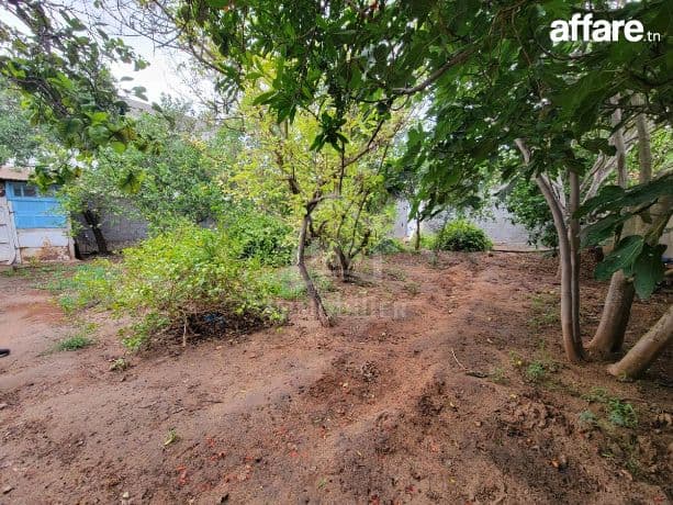 Terrain de 240 m² à Hammamet à vendre à 110 MD 51355351