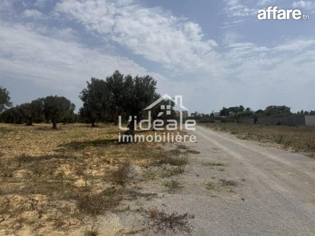À Vendre Terrain Exceptionnel à Hammamet  Ceinture Nabeul