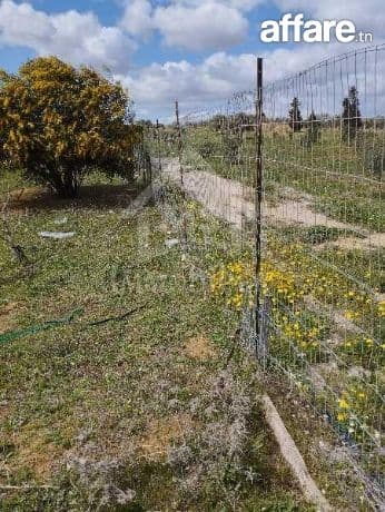 Un lot de terrain de 500 m² à vendre à 55 MD à Hammamet Sud