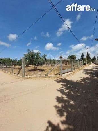Terrain viabilisé de 600 m² à vendre à Hammamet 51355351