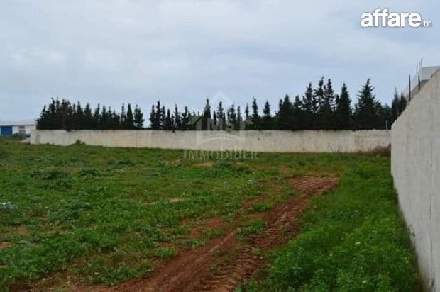 Terrain de 716 m² à vendre à Hammamet Sud 51355351
