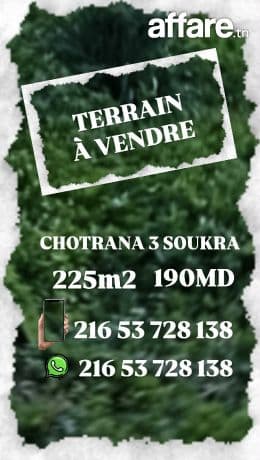 CHOTRANA SiDI SALAH: TERRAIN  VIABILISÉ A VENDRE 
