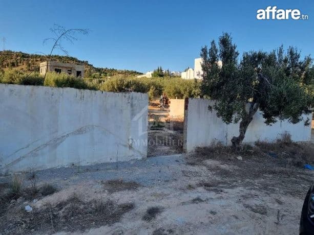 Terrain de 238 m² à vendre à Hammamet Nord 51355351
