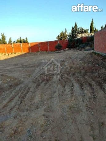 Terrain de 800 m² à vendre à Hammamet Sud 51355351