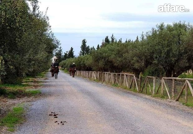 📍 CEBELAT BEN AMMAR : OPPORTUNITÉ TERRAIN A VENDRE 