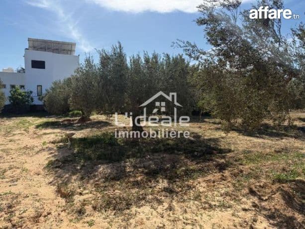 À vendre  deux terrains d’exception à Hammamet Nord