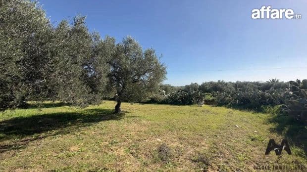 TERRAIN A EL MORNAGUIA A VENDRE