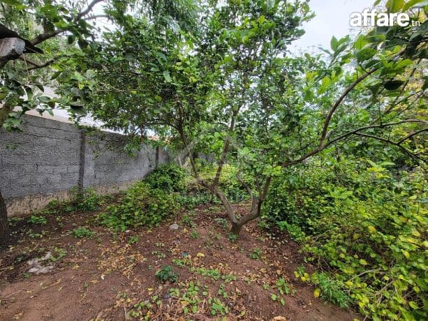 Terrain de 240 m² à Hammamet à vendre à 110 MD 51355351