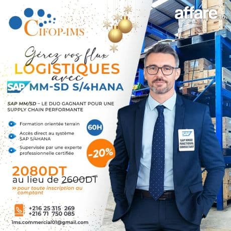 Formation SAP MM / SD et SAP FICO
