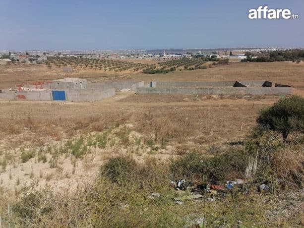 À vendre 4 lots de terrains clôturés à Lahouij Birini – Sidi