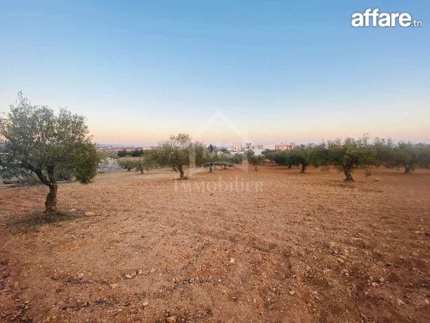 Terrain de 4018 m² à vendre à 200 dt/m² à Hammamet Sud