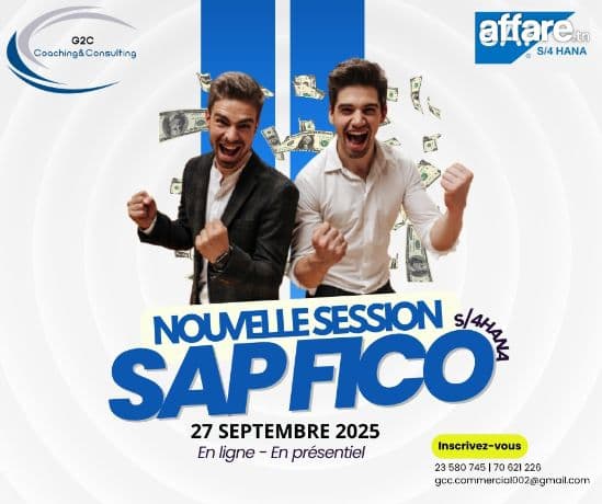 Formation SAP FICO 