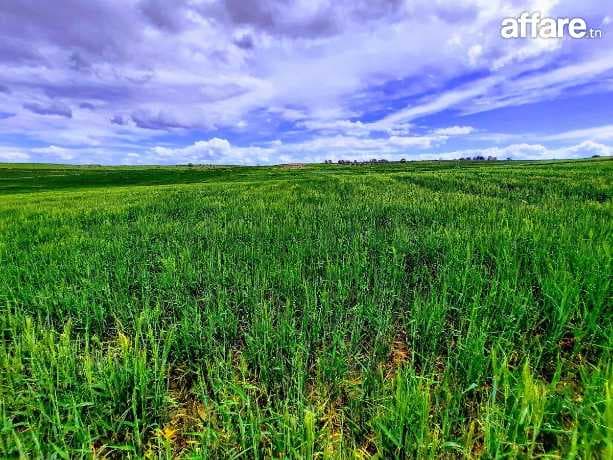 12 hectares Vente Terrain agricole Opportunité d'Affaire
