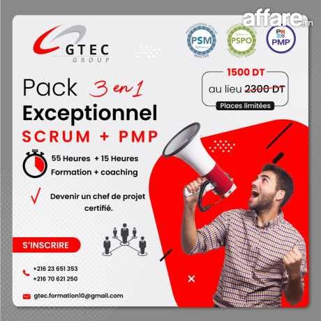 Pack de formation PSM1, PSPO1 & PMP