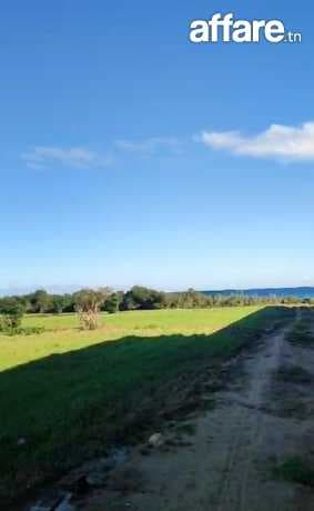 terrain les pieds dans l'eau 