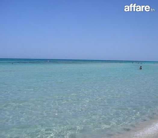 appartement haut standing