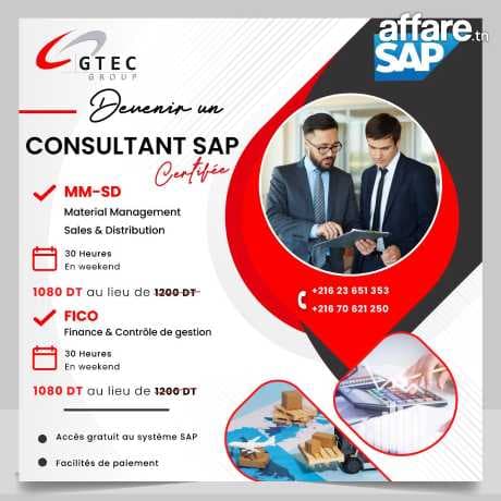 Formation SAP MM & SD / FICO