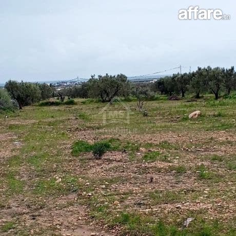 Terrain de 2700 m² à Hammamet Sud à vendre 51355351