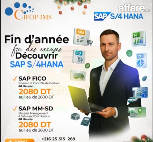 Formation pratique en SAP Tunisie