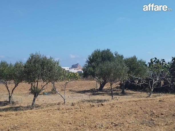 Terrain à RAFRAF Plage 60 M2