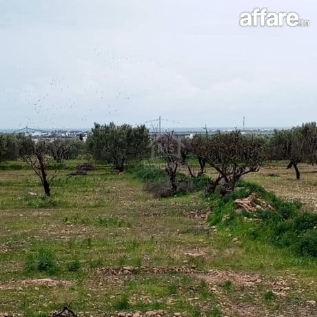 Terrain de 2700 m² à Hammamet Sud à vendre 51355351