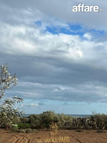 A vendre terrain 2002m² vue sur mer à Dharoufa , Nabeul
