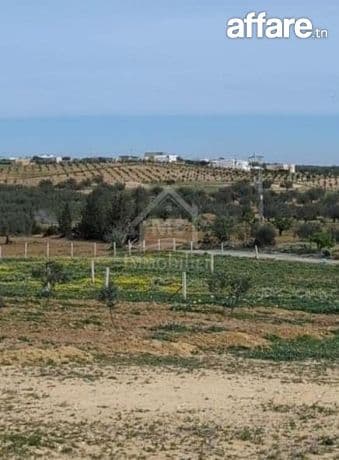 Terrain de 2851 m² à Hammamet Sud à vendre à 185 MD 51355351