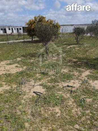 Un lot de terrain de 500 m² à vendre à 55 MD à Hammamet Sud