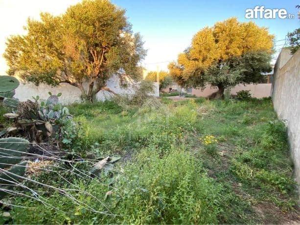 Lot de terrain de 250 m² à Hammamet à vendre 51355351