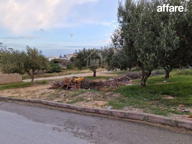 Terrain vue de mer de 1122 m² à vendre à Hammamet Nord