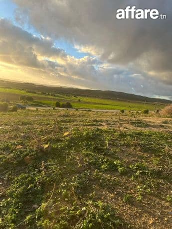  للبيع فـ وادي الخطف – فرصة ماتتعوضش ! 