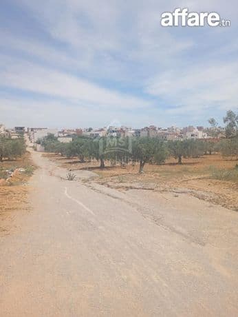Terrain de 2000 m² à Hammamet Sud à vendre 51355351