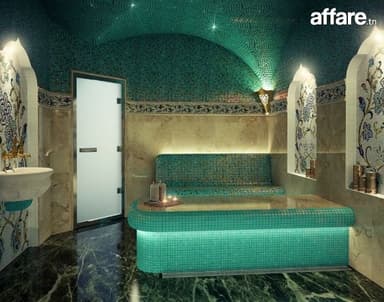 Renaissance en Vapeur 57 090 955