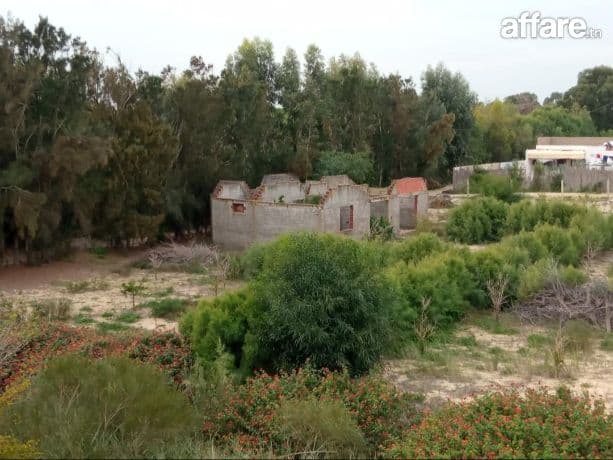 Terrain 1000 m a vendre 