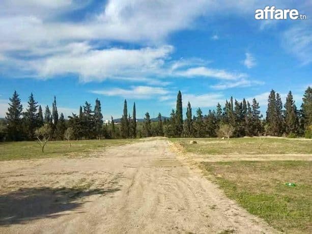 Opportunité rare à Jnane Hammamet