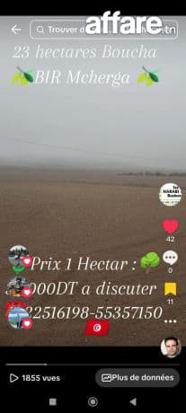 23 hectares excellentes sol fertile