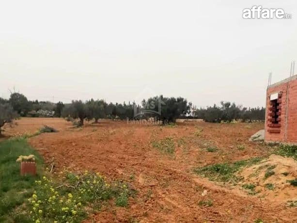 Terrain à vendre à 200 dt/m² à Hammamet Sud 51355351