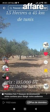  Un hectare et demi avec d'oliviers 