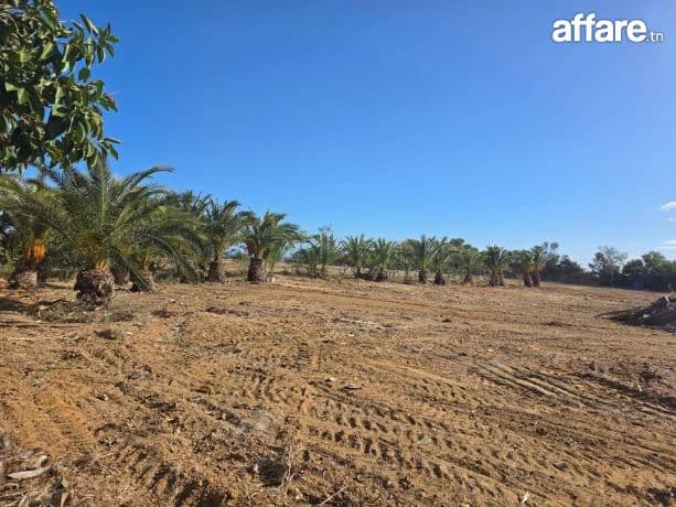 🌊Terrain Avec Vue Mer En Vente | Gandouz Hergla