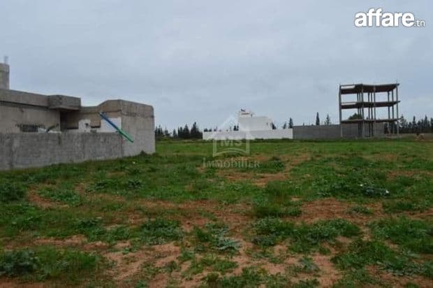 Terrain de 716 m² à vendre à Hammamet Sud 51355351