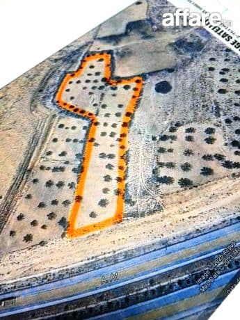 Terrain [#8000m²] #Sur l'autoroute #Sidi Bouali #El Fokaia