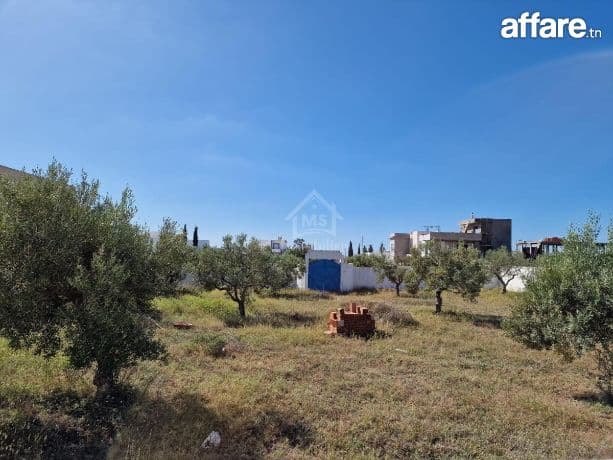 Superbe terrain de 1000 m² à Mrezga à vendre 51355351