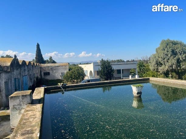 à vendre à soliman 