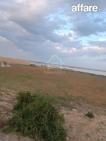 Terrain pieds dans l'eau de 9000 m² à korba à vendre