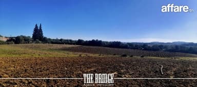 Terrain Agricole de nu 13 977 m² à Bou Argoub